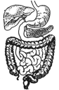 Colon-Hydro-Therapie